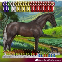 Horse Color:Silver Brown 