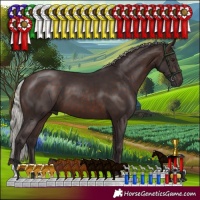Horse Color:Silver Brown 