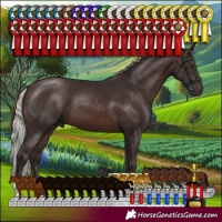 Horse Color:Silver Brown 