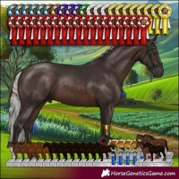 Horse Color:Silver Brown 
