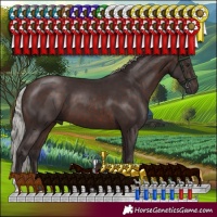 Horse Color:Silver Brown 