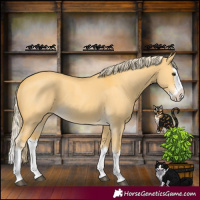 Horse Color:Palomino Dun Splash