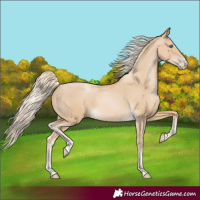 Horse Color:Palomino Pearl 