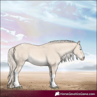 Horse Color:Cremello Dun Tobiano