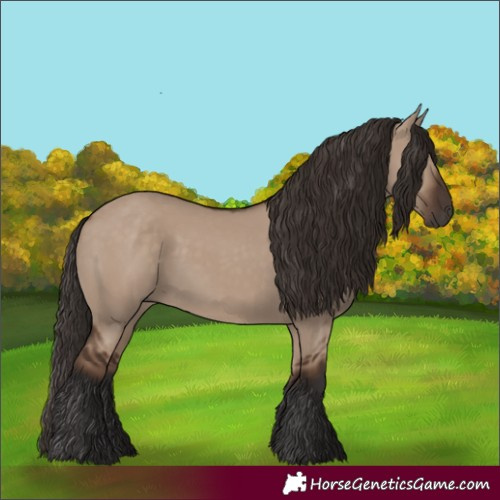 Horse Color:Liver Red Dun Rabicano 
