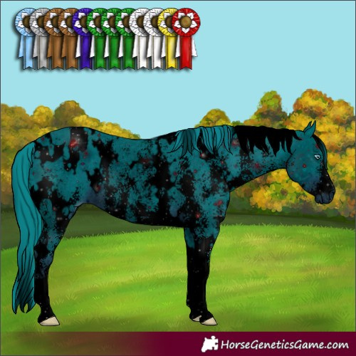 Horse Color:ERROR: UNKNOWN ANOMALY