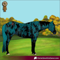 Horse Color:ERROR: UNKNOWN ANOMALY