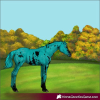 Horse Color:ERROR: UNKNOWN ANOMALY