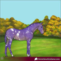 Horse Color:Watercolor White Spotted Brown 
