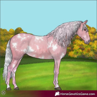 Horse Color:Watercolor White Spotted Silver Bay 