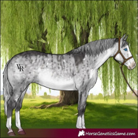 Horse Color:Platinum White Spotted Silver Buckskin Dun Splash Rabicano Brindle
