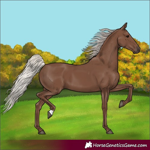 Horse Color:Silver Black 