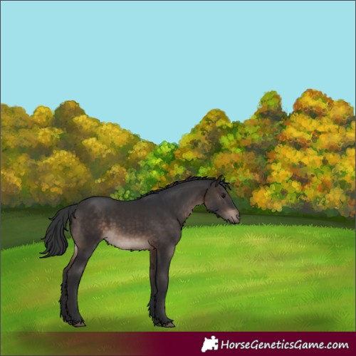 Horse Color:Brown 