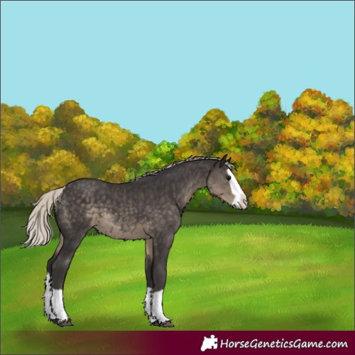 Horse Color:Silver Smoky Black Splash 