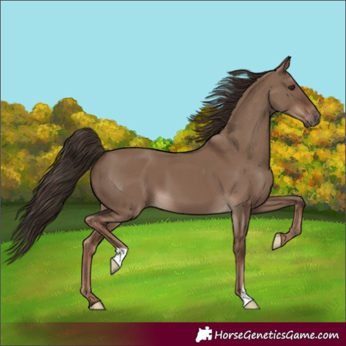 Horse Color:Liver Red Dun 