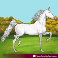 Horse Color:Silver Smoky Creme Dun 
