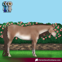 Horse Color:Classic Champagne Sabino Tobiano