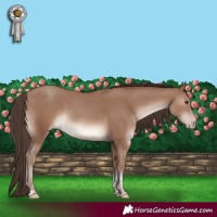 Horse Color:Classic Champagne Sabino Tobiano 