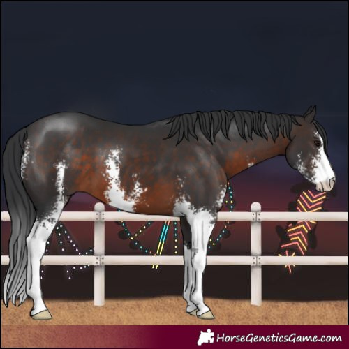 Horse Color:Brown Sabino 