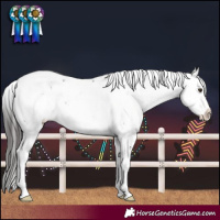 Horse Color:Liver Chestnut Sabino 