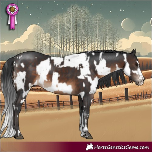 Horse Color:Silver Black Sabino Rabicano  and Brown Sabino 