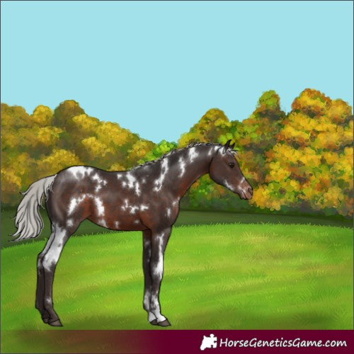 Horse Color:White Spotted Silver Brown Varnish 