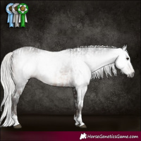 Horse Color:Gray White Spotted Silver Brown Sabino Varnish Rabicano and White Spotted Silver Brown Rabicano