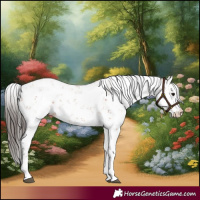 Horse Color:Bay Sabino