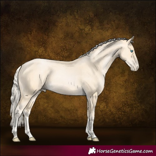 Horse Color:Palomino Pearl 
