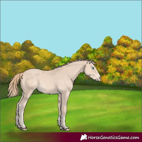 Horse Color:Perlino 
