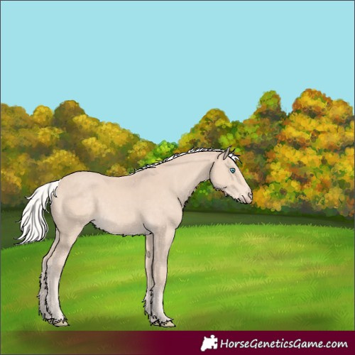 Horse Color:Silver Perlino 