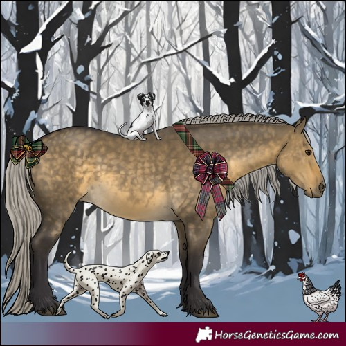 Horse Color:Silver Buckskin Dun 