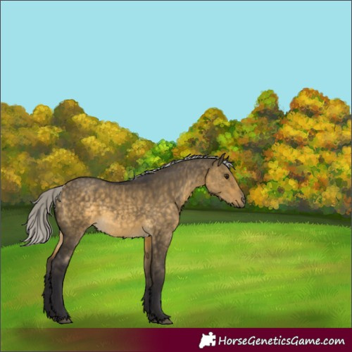Horse Color:Silver Buckskin Dun 