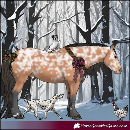 Horse Color:Bay Ice Rabicano 