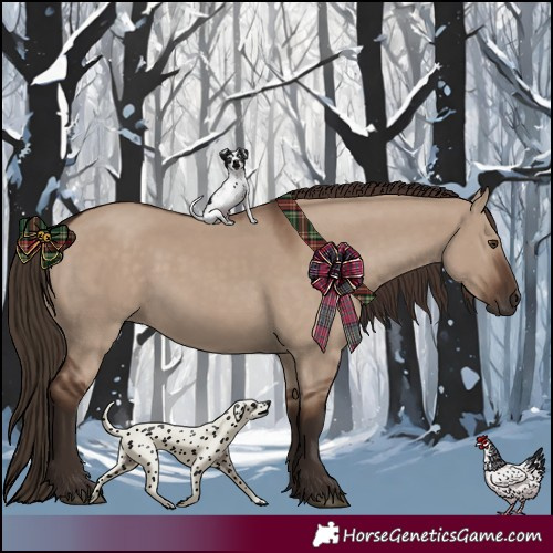 Horse Color:Liver Red Dun Rabicano 