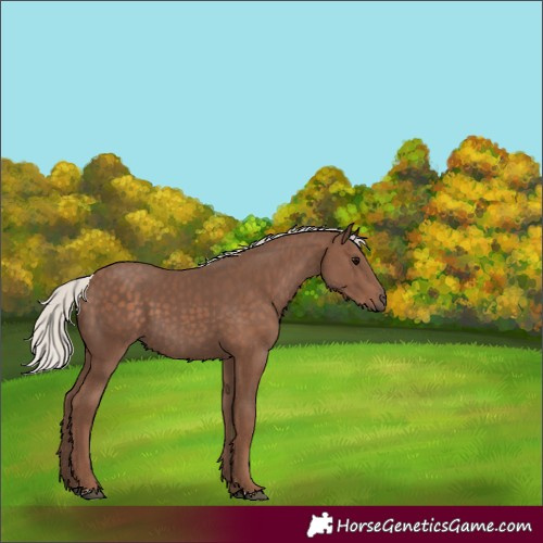 Horse Color:Silver Black 
