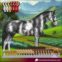 Horse Color:Brown Sabino 