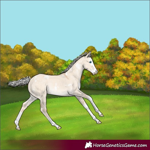 Horse Color:White Spotted Silver Perlino Dun Splash Rabicano