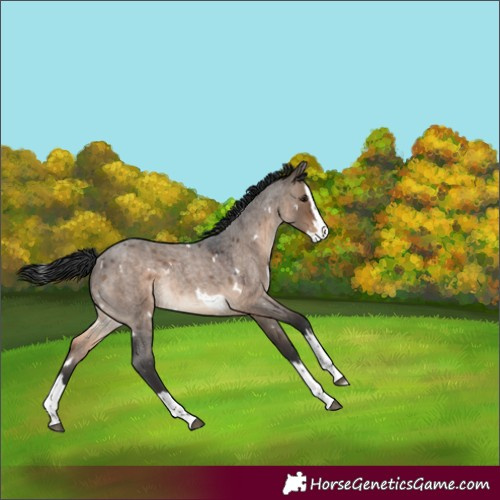 Horse Color:White Spotted Brown Roan Dun Splash Rabicano