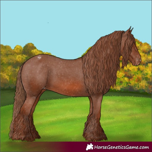 Horse Color:Chestnut Varnish