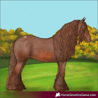 Horse Color:Chestnut Varnish 