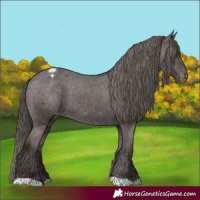 Horse Color:Liver Chestnut Varnish 