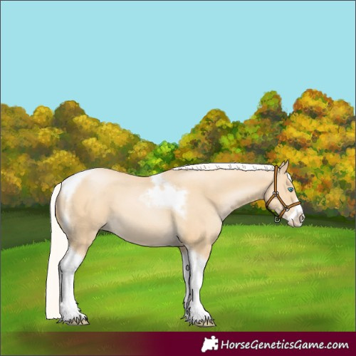 Horse Color:Silver Smoky Black Pearl Tobiano Frame 