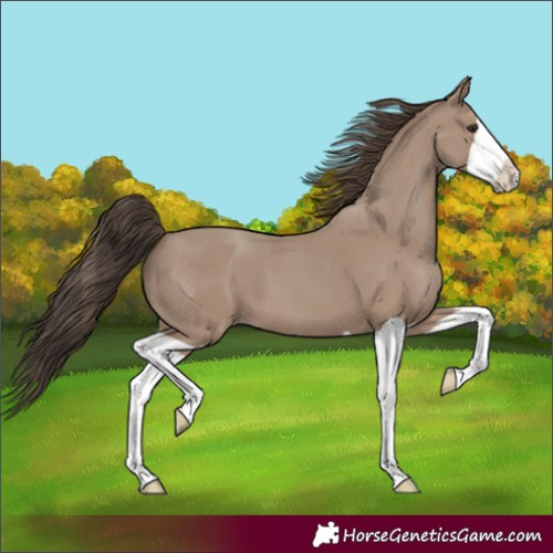 Horse Color:Classic Champagne Splash 