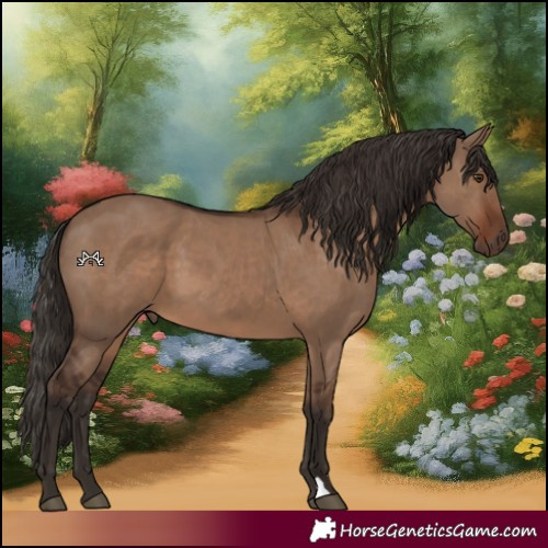 Horse Color:Liver Red Dun 