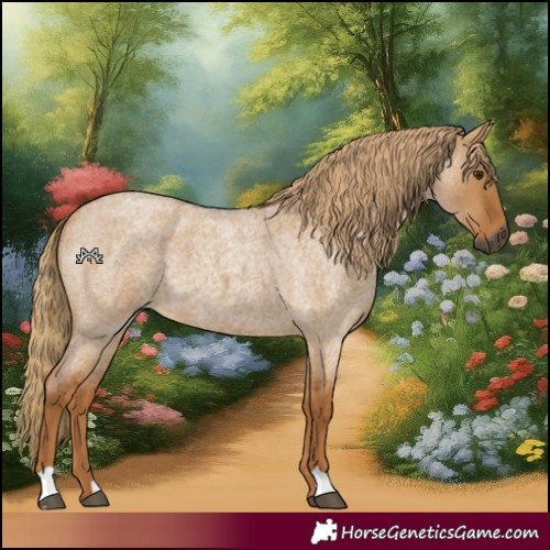 Horse Color:Gray Red Dun Roan 