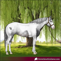 Horse Color:Brown Tobiano Rabicano