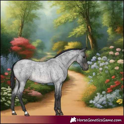Horse Color:Blue Roan 