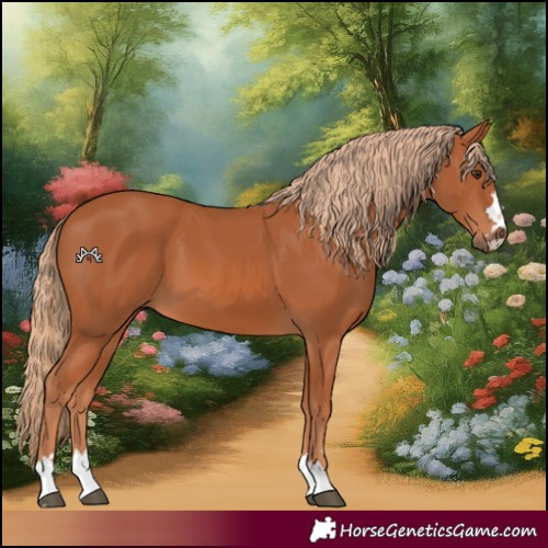 Horse Color:Chestnut 
