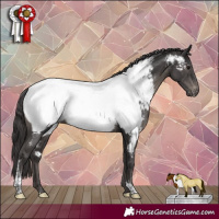 Horse Color:Smoky Black Tobiano Appaloosa Rabicano 